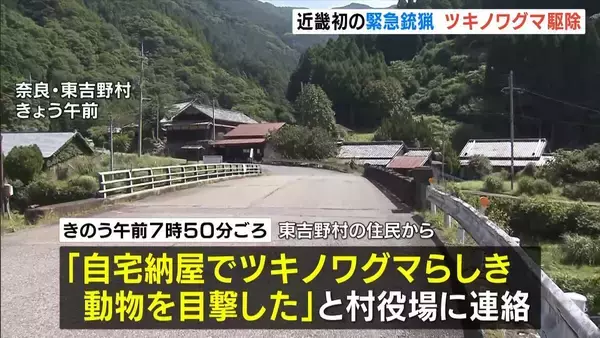 近畿初「クマ緊急銃猟」住民から連絡受け確認→警察など協議し村が実施決定→麻酔銃を撃ち捕獲後に殺処分　奈良・東吉野村