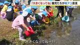 「「大きくなってね！」アユ漁の解禁前に…園児たちが稚アユを放流　兵庫・養父市」の画像1