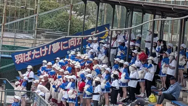 【高校野球】春季兵庫県大会の出場校が決定！　最後に地区大会を勝ち抜いたのは報徳学園と関西学院　市西宮、県伊丹はあと一歩及ばず