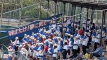 【高校野球】春季兵庫県大会の出場校が決定！　最後に地区大会を勝ち抜いたのは報徳学園と関西学院　市西宮、県伊丹はあと一歩及ばず