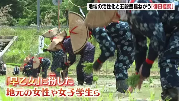 京都・福知山市の大原神社で伝統の『御田植祭』　早乙女姿でもち米の苗植える　秋には餅つき大会、正月には鏡もちを奉納へ…