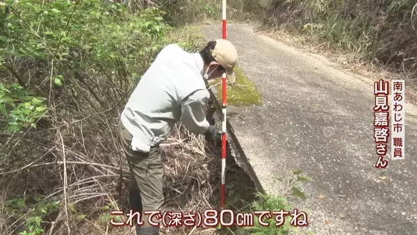 【大繁殖】人口300人の島に300頭のイノシシ　もともとは生息していなかったのになぜ？「泳いで来た」か…島民・行政で対策も数減らず　兵庫の離島で一体何が