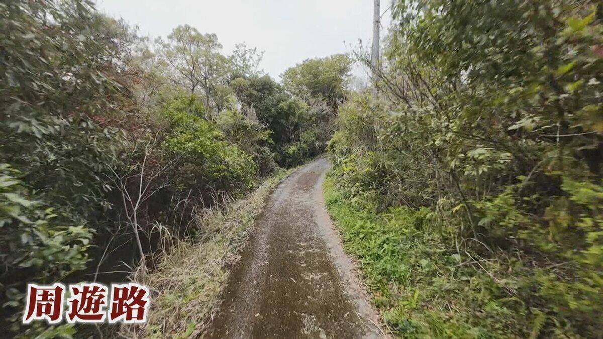 【大繁殖】人口300人の島に300頭のイノシシ　もともとは生息していなかったのになぜ？「泳いで来た」か…島民・行政で対策も数減らず　兵庫の離島で一体何が