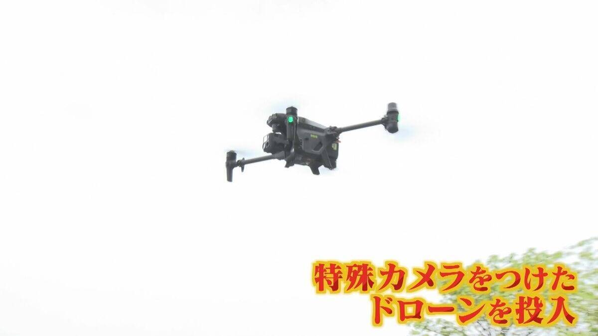 【大繁殖】人口300人の島に300頭のイノシシ　もともとは生息していなかったのになぜ？「泳いで来た」か…島民・行政で対策も数減らず　兵庫の離島で一体何が