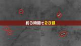 「【大繁殖】人口300人の島に300頭のイノシシ　もともとは生息していなかったのになぜ？「泳いで来た」か…島民・行政で対策も数減らず　兵庫の離島で一体何が」の画像7