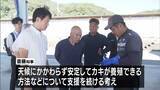 「養殖カキ大量死…兵庫・斎藤知事が相生市の漁協を視察「技術開発をしっかりやっていく…」安定した養殖へ支援続ける考え」の画像1
