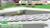 「大阪・南港でトミカ博が開幕　パトカーが一斉出動！　巨大スライダーを滑り降りる迫力に子供たちも興奮　5月6日まで開催」の画像1