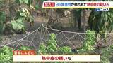「兵庫県内の畑や路上で男性2人死亡…熱中症の疑いも　畑で倒れていた男性は外傷なく死後硬直が進む」の画像1