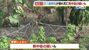 兵庫県内の畑や路上で男性2人死亡…熱中症の疑いも　畑で倒れていた男性は外傷なく死後硬直が進む