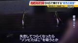 「若者に蔓延する薬物“ゾンビたばこ”＝エトミデートの実態　少年院で語られた後悔「気づいたときには手遅れ」逮捕者多い沖縄で取材「失恋してつらくなったら吸う」密売人に話を聞くと…【連載・ゾンビたばこ（２）】」の画像2