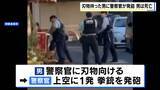 「「血だらけの男が暴れて…」刃物持ち向かってきた男に警察官が発砲　左胸に命中　現行犯逮捕も病院で死亡確認　大阪・河内長野市」の画像2