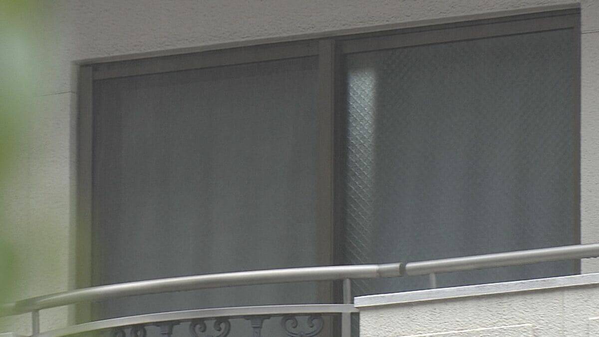 「お金なく病院に行けず…」赤ちゃん2人を遺棄した罪に問われた35歳の女　保険未加入で“孤立出産”「どうしたらいいかわからず」法廷で涙【裁判詳報・求刑 拘禁刑2年6カ月】