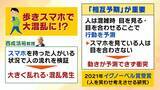 「アリの行列に学ぶ「急がば回れ」の渋滞学　車間距離「40m」が渋滞解消の分岐点？急ぎたい時ほど詰めないのが鉄則！「緩やかな坂」とトンネルでの減速にも理由が」の画像14