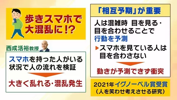「アリの行列に学ぶ「急がば回れ」の渋滞学　車間距離「40m」が渋滞解消の分岐点？急ぎたい時ほど詰めないのが鉄則！「緩やかな坂」とトンネルでの減速にも理由が」の画像