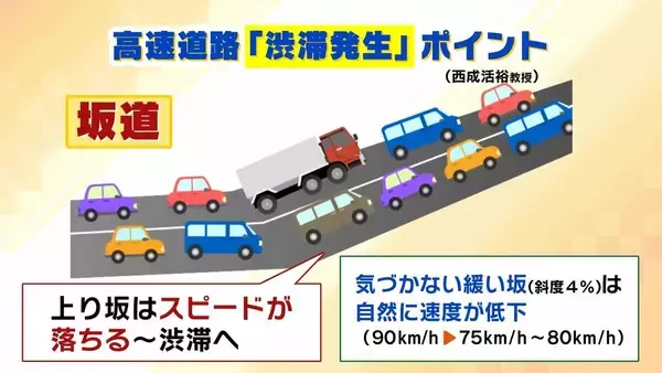 「アリの行列に学ぶ「急がば回れ」の渋滞学　車間距離「40m」が渋滞解消の分岐点？急ぎたい時ほど詰めないのが鉄則！「緩やかな坂」とトンネルでの減速にも理由が」の画像
