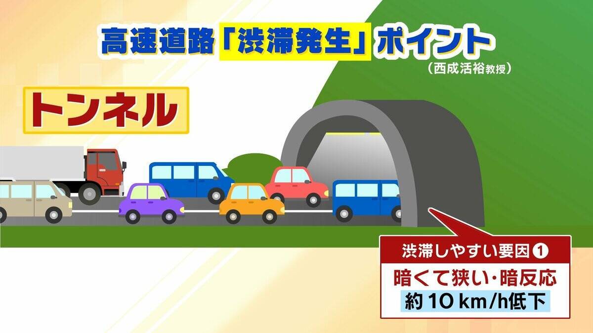 アリの行列に学ぶ「急がば回れ」の渋滞学　車間距離「40m」が渋滞解消の分岐点？急ぎたい時ほど詰めないのが鉄則！「緩やかな坂」とトンネルでの減速にも理由が