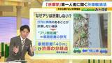 「アリの行列に学ぶ「急がば回れ」の渋滞学　車間距離「40m」が渋滞解消の分岐点？急ぎたい時ほど詰めないのが鉄則！「緩やかな坂」とトンネルでの減速にも理由が」の画像7