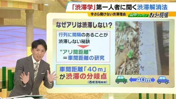 「アリの行列に学ぶ「急がば回れ」の渋滞学　車間距離「40m」が渋滞解消の分岐点？急ぎたい時ほど詰めないのが鉄則！「緩やかな坂」とトンネルでの減速にも理由が」の画像