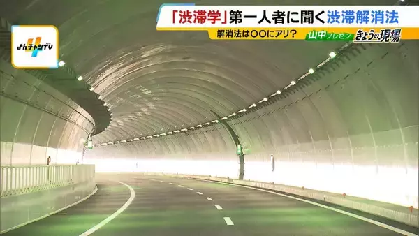 「アリの行列に学ぶ「急がば回れ」の渋滞学　車間距離「40m」が渋滞解消の分岐点？急ぎたい時ほど詰めないのが鉄則！「緩やかな坂」とトンネルでの減速にも理由が」の画像