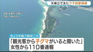 【またクマ？】「観光客から子熊がいると聞いた」京都の『天橋立』で目撃情報　松並木を通行止めして捜索中　おととい10日にも1頭捕獲　京都・宮津市