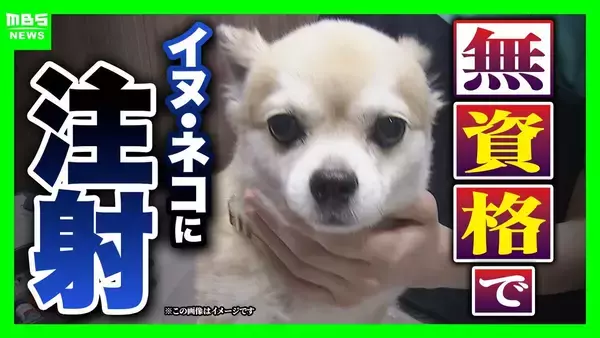 「注射した犬が翌日死んだ」と相談 無資格者にイヌ・ネコへの医薬品注射をさせた疑い　ペット店代表らを逮捕　全国のホームセンター等で展開　大阪府警