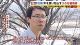 「「いよいよ来てしまった…」桜の木を食い枯らす“小さな破壊者”『クビアカツヤカミキリ』異常な繁殖力で被害急拡大…桜の名所が消える危機に自治体も対応に苦慮「一度侵入許すと根絶は困難」」の画像14