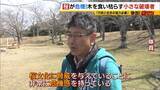 「「いよいよ来てしまった…」桜の木を食い枯らす“小さな破壊者”『クビアカツヤカミキリ』異常な繁殖力で被害急拡大…桜の名所が消える危機に自治体も対応に苦慮「一度侵入許すと根絶は困難」」の画像18