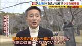 「「いよいよ来てしまった…」桜の木を食い枯らす“小さな破壊者”『クビアカツヤカミキリ』異常な繁殖力で被害急拡大…桜の名所が消える危機に自治体も対応に苦慮「一度侵入許すと根絶は困難」」の画像19
