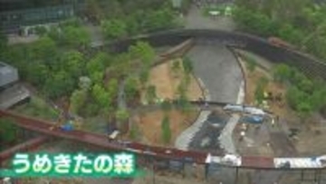 「大阪最後の一等地」グラングリーン大阪の約9割が開業へ　四季彩る「うめきたの森」が11月20日に開園　「あたらしい大阪の顔」となるか