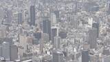 「【39年ぶり歴史的円安】関西企業952社に聞く「経営にプラス？マイナス？」「望ましい円相場は？」規模別・業種別の調査で見えてきた“ホンネ”【東京商工リサーチ調査】」の画像6