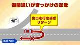 「【相次ぐ高速道路逆走】原因の約半数は「道間違い」がきっかけ　うっかり出口を間違えてしまったら…正しい行動は？　認知症疑いの高齢ドライバーで「逆走の認識ない」ケースも」の画像5
