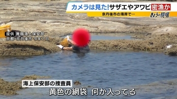 【摘発の瞬間】「持って帰らへん、逃がすから」「いやいやいや」網袋にサザエなど約200個　何をとったら密漁？→ワカメやアサリも　密漁疑いでレジャー客ら19人摘発　京都・京丹後市