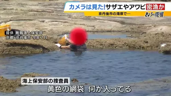 【摘発の瞬間】「持って帰らへん、逃がすから」「いやいやいや」網袋にサザエなど約200個　何をとったら密漁？→ワカメやアサリも　密漁疑いでレジャー客ら19人摘発　京都・京丹後市