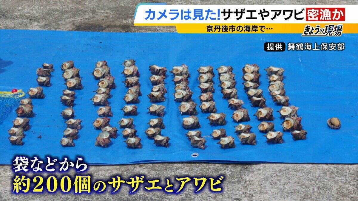 【摘発の瞬間】「持って帰らへん、逃がすから」「いやいやいや」網袋にサザエなど約200個　何をとったら密漁？→ワカメやアサリも　密漁疑いでレジャー客ら19人摘発　京都・京丹後市