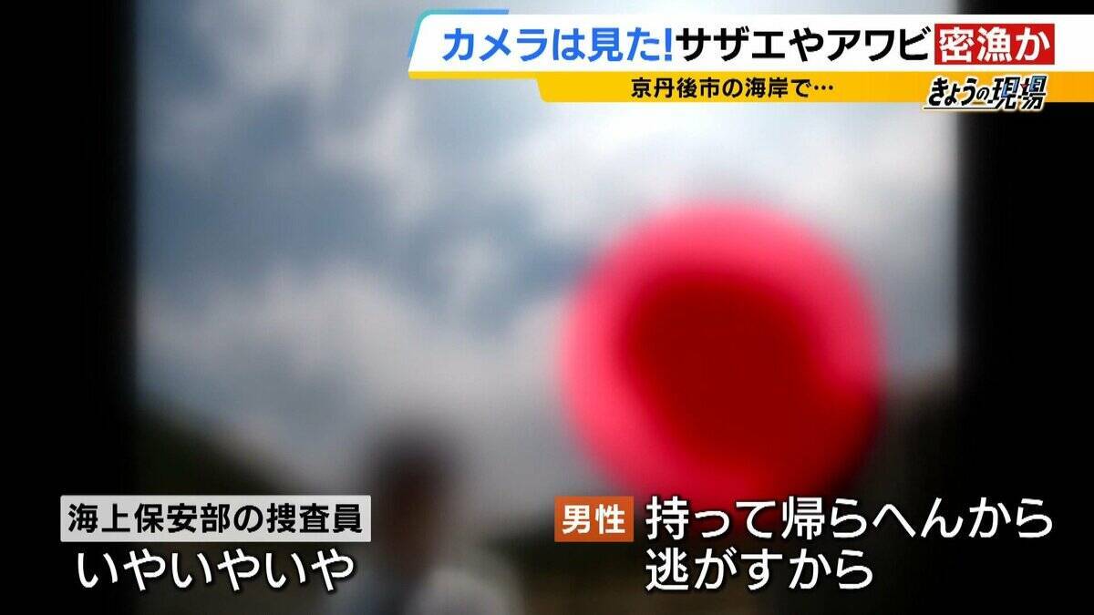 【摘発の瞬間】「持って帰らへん、逃がすから」「いやいやいや」網袋にサザエなど約200個　何をとったら密漁？→ワカメやアサリも　密漁疑いでレジャー客ら19人摘発　京都・京丹後市
