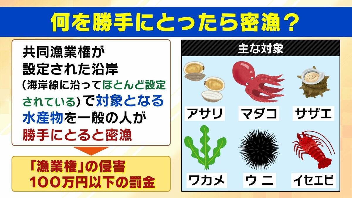 【摘発の瞬間】「持って帰らへん、逃がすから」「いやいやいや」網袋にサザエなど約200個　何をとったら密漁？→ワカメやアサリも　密漁疑いでレジャー客ら19人摘発　京都・京丹後市