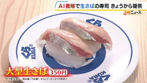 深刻なサバ不漁の救世主となるか？「くら寿司」がAIを活用して養殖の「大型生さば」を提供　中東情勢で輸入水産物の価格も上昇する中…国内養殖に注力