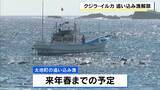 「クジラ・イルカの追い込み漁が解禁　和歌山・太地町で約400年続く伝統漁法」の画像1