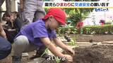 「園児らが「ひまわり」通じて交通安全を考える　命の大切さや交通ルールを学ぶ取り組み「ひまわりの絆プロジェクト」」の画像1