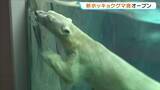 「泳ぐ「ホウちゃん」が間近に！ホッキョクグマ舎がリニューアルオープン　大阪・天王寺動物園」の画像1