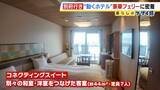 「ゆったりと心地良い船旅はＧＷにぴったり？フェリー『さんふらわあ くれない 』に乗ってみた！大阪－別府を結ぶ豪華な“動くホテル”　ペットＯＫの客室や「１人でも泊まりやすい」相部屋タイプなど２０種類以上の部屋を用意」の画像2