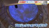 「ゆったりと心地良い船旅はＧＷにぴったり？フェリー『さんふらわあ くれない 』に乗ってみた！大阪－別府を結ぶ豪華な“動くホテル”　ペットＯＫの客室や「１人でも泊まりやすい」相部屋タイプなど２０種類以上の部屋を用意」の画像7