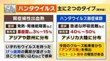 「【ハンタウイルス】乗客下船で感染拡大は？新型コロナのような大流行は「現時点では可能性低いが変異に注視」「感染は家族など長時間密接している場合が多い」　渡航医学の専門家解説」の画像1
