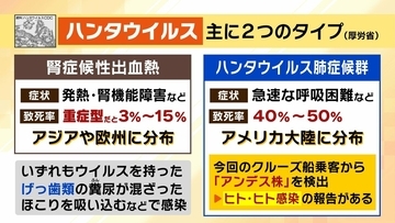 【ハンタウイルス】乗客下船で感染拡大は？新型コロナのような大流行は「現時点では可能性低いが変異に注視」「感染は家族など長時間密接している場合が多い」　渡航医学の専門家解説