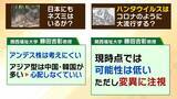 「【ハンタウイルス】乗客下船で感染拡大は？新型コロナのような大流行は「現時点では可能性低いが変異に注視」「感染は家族など長時間密接している場合が多い」　渡航医学の専門家解説」の画像6