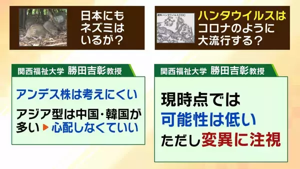 「【ハンタウイルス】乗客下船で感染拡大は？新型コロナのような大流行は「現時点では可能性低いが変異に注視」「感染は家族など長時間密接している場合が多い」　渡航医学の専門家解説」の画像