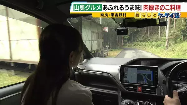 【わざわざ行きたい！山奥グルメ】先代との「きのこ談義」きっかけに客が跡継ぎに！？自分で焼いて食べる「肉厚きのこ」が魅力の店　京都市内とは思えない自然の中にポツンと佇む…新鮮な山菜料理が大好評のログハウスカフェ【第3弾】