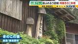 「【わざわざ行きたい！山奥グルメ】先代との「きのこ談義」きっかけに客が跡継ぎに！？自分で焼いて食べる「肉厚きのこ」が魅力の店　京都市内とは思えない自然の中にポツンと佇む…新鮮な山菜料理が大好評のログハウスカフェ【第3弾】」の画像2