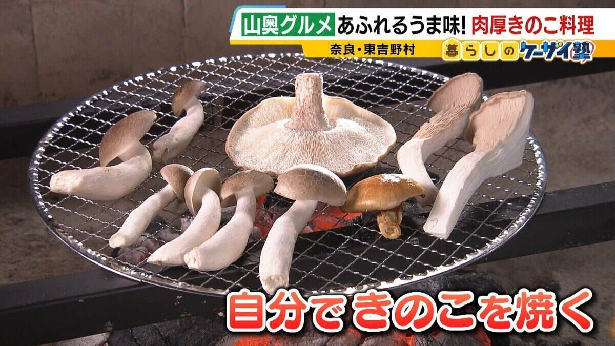【わざわざ行きたい！山奥グルメ】先代との「きのこ談義」きっかけに客が跡継ぎに！？自分で焼いて食べる「肉厚きのこ」が魅力の店　京都市内とは思えない自然の中にポツンと佇む…新鮮な山菜料理が大好評のログハウスカフェ【第3弾】