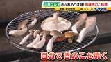 「【わざわざ行きたい！山奥グルメ】先代との「きのこ談義」きっかけに客が跡継ぎに！？自分で焼いて食べる「肉厚きのこ」が魅力の店　京都市内とは思えない自然の中にポツンと佇む…新鮮な山菜料理が大好評のログハウスカフェ【第3弾】」の画像4